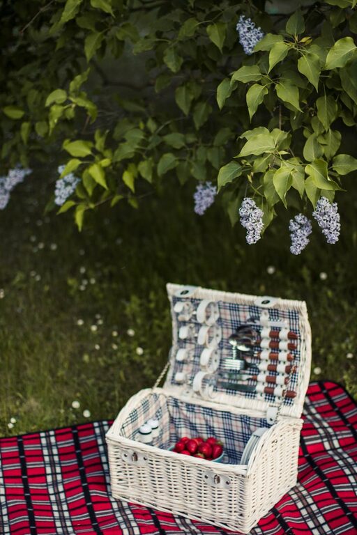How to Plan a Simple Picnic at a Local Park